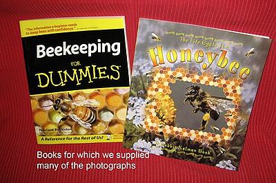 Hive products for craft shows