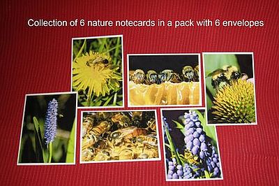 Hive products for craft shows
